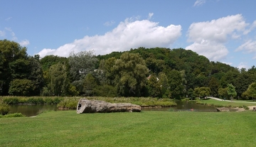 700x450-crop-90-luitpoldpark_im_sommer.jpg