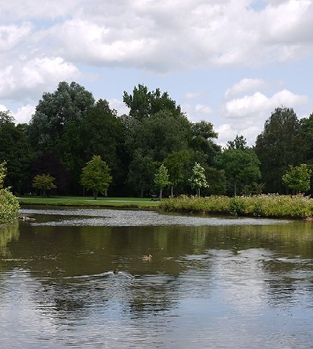 700x450-crop-90-see_im_luitpoldpark.jpg