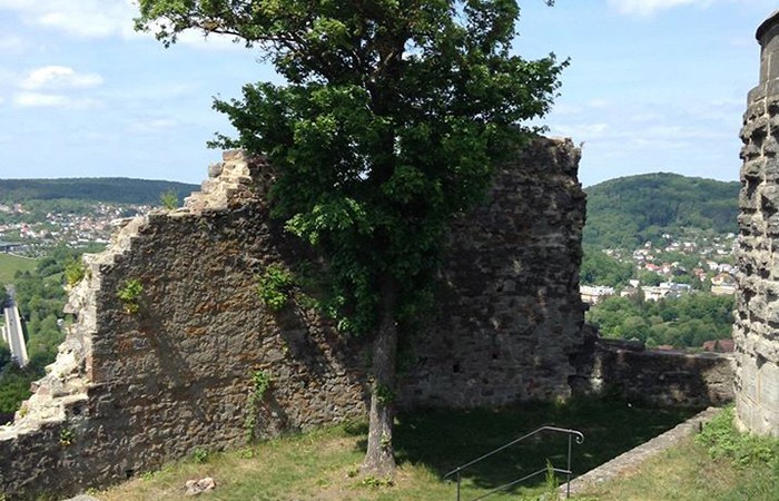 Burgruine