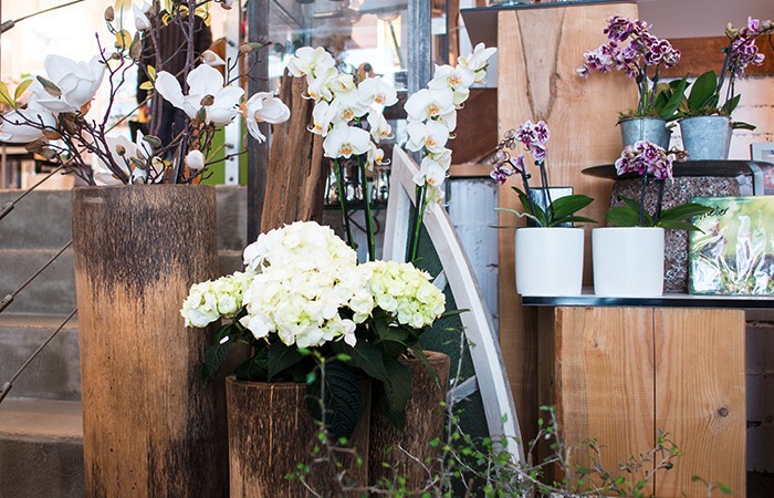 ausgewählte Blumen