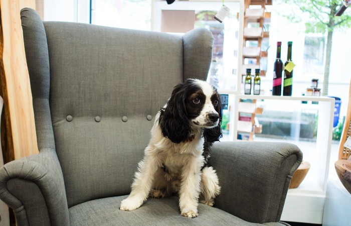 Soleb'ich - concept store