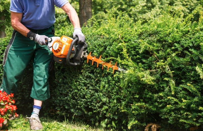 Grüne Gruppe - Nüdlinger Werkstatt