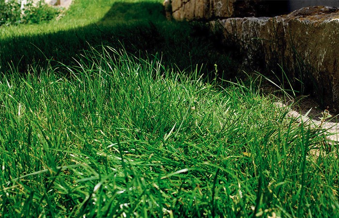 pro GalaBau e. K. - Raseneinsaat